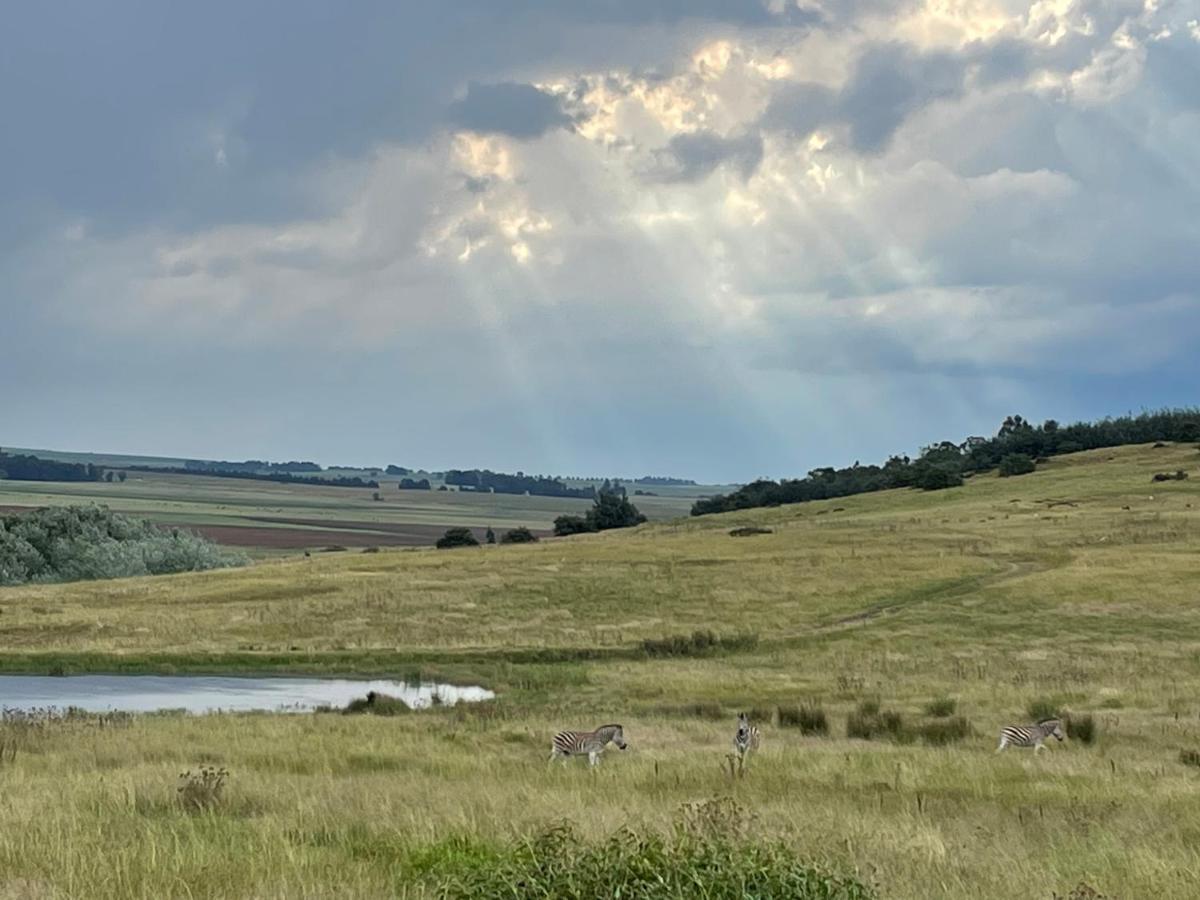Holbank River Lodge Ermelo Dış mekan fotoğraf