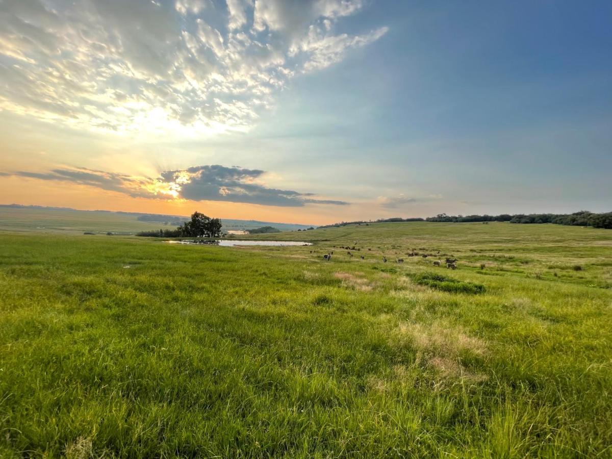 Holbank River Lodge Ermelo Dış mekan fotoğraf